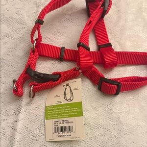 Red Dog Harness